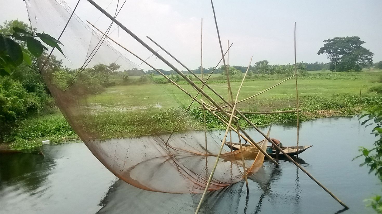 অবৈধ কারেন্ট জালের ছড়াছড়ি, হুমকিতে মৎস্য উৎপাদন