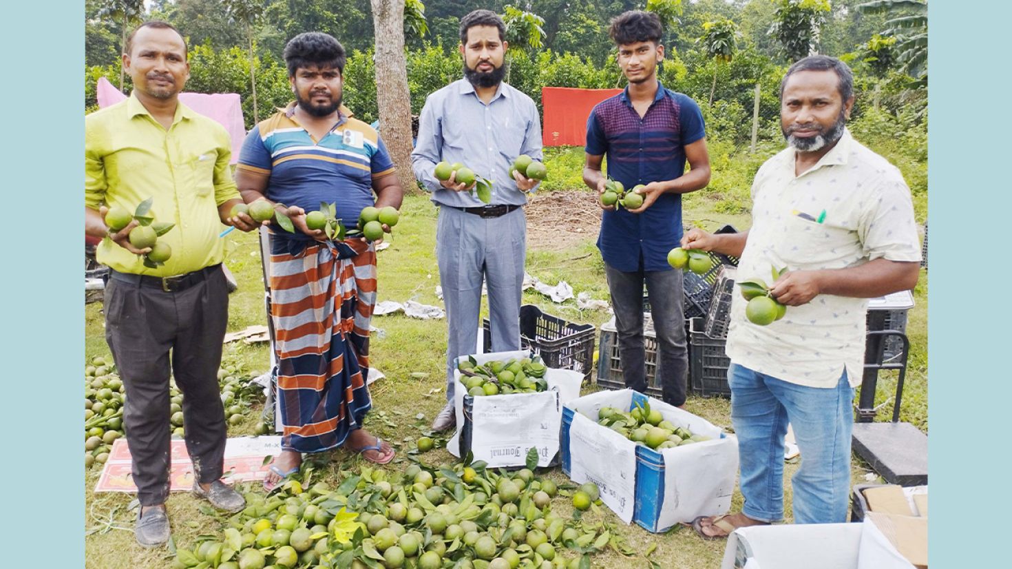 বীরগঞ্জে মাল্টা চাষে নীরব বিপ্লব