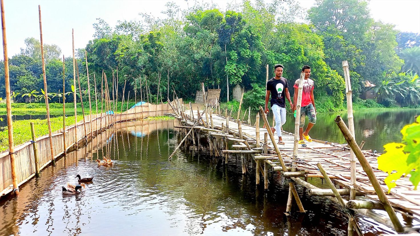 বাঁশের সাঁকোই ভরসা, ঝুঁকিতে হাজারো মানুষ