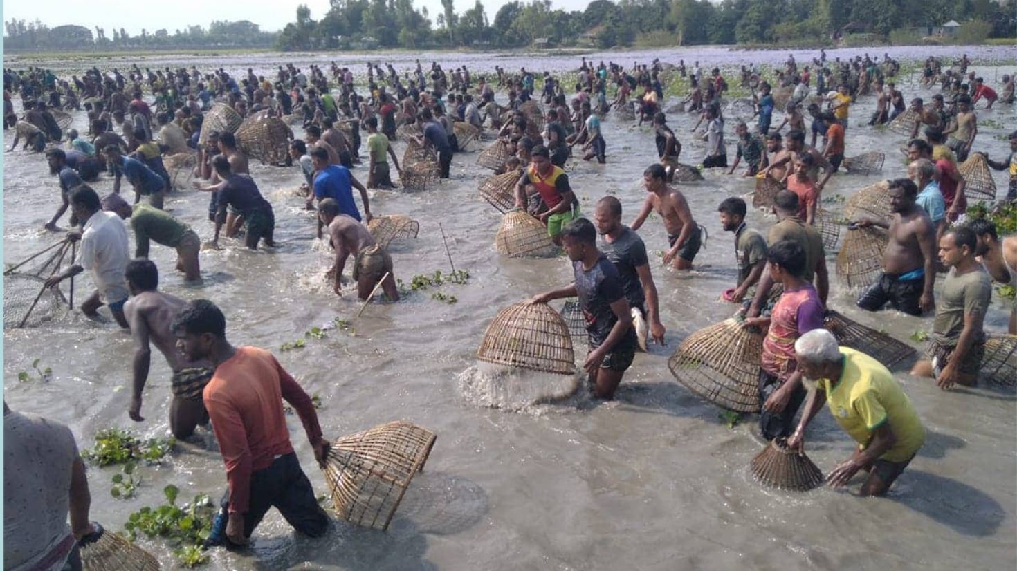 গাইবান্ধার বিল জলাশয়ে চলছে ঐতিহ্যবাহী দলবদ্ধ মাছ শিকার ’বৈদ’