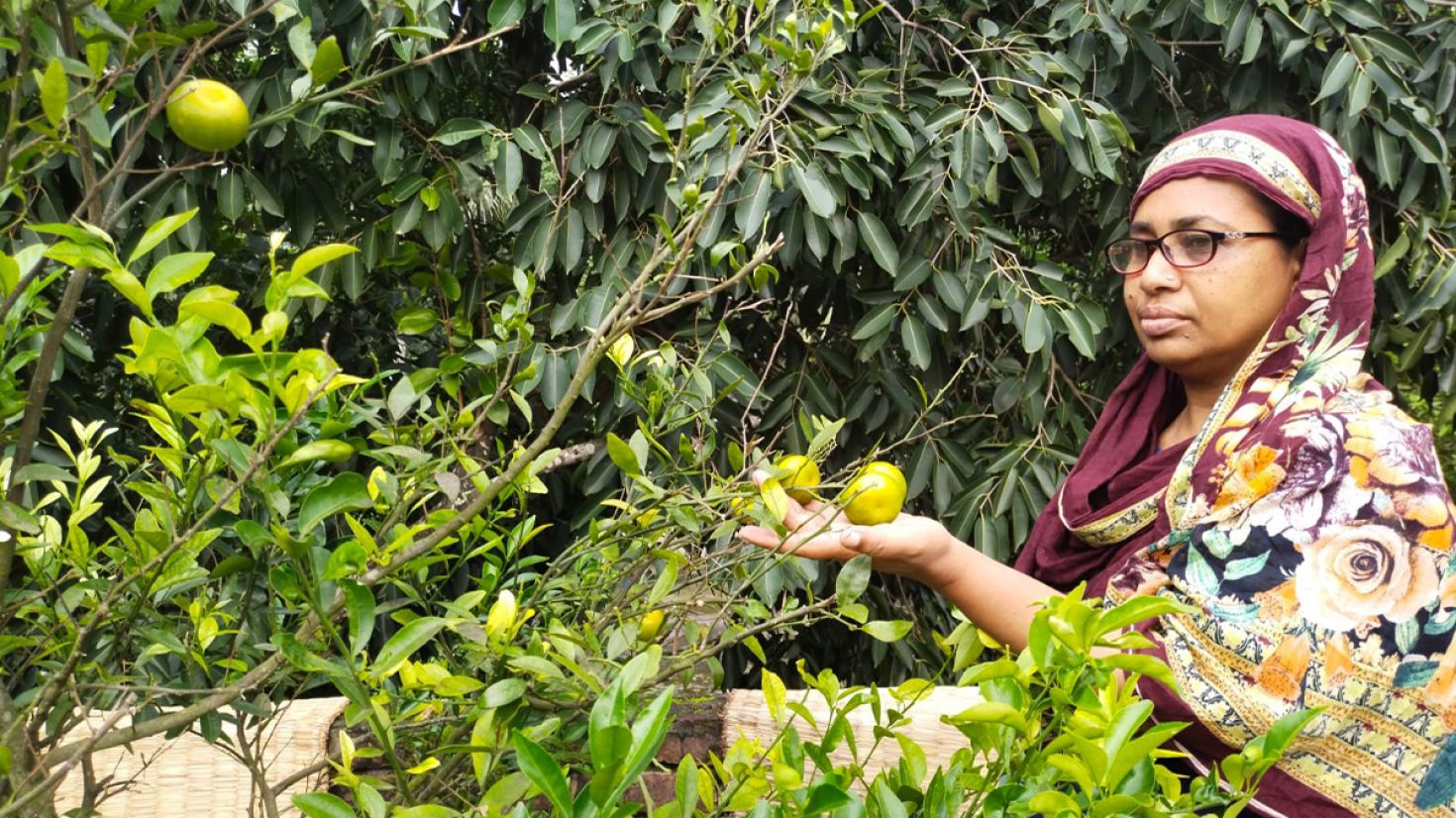 দ্বিতল ভবনে ছাদবাগান