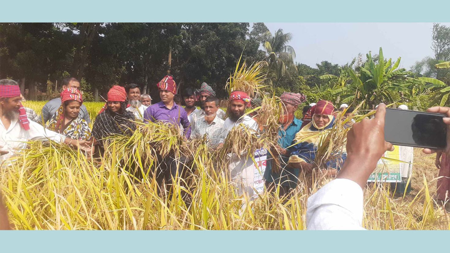 আমনের বাম্পার ফলন, কৃষকের মুখে হাসি