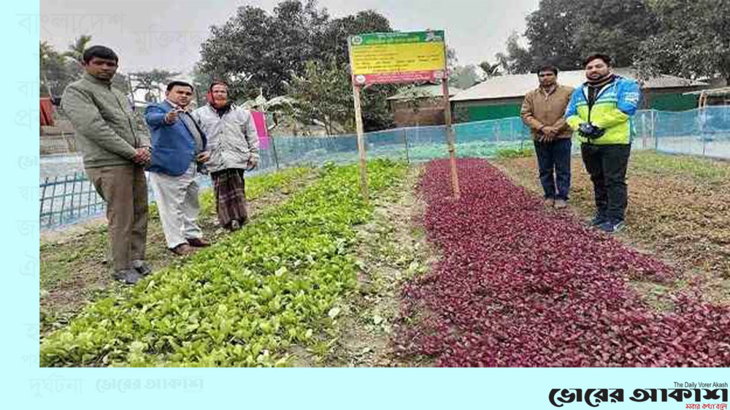 দিন দিন জনপ্রিয় হচ্ছে অনাবাদি জমিতে সবজি চাষ