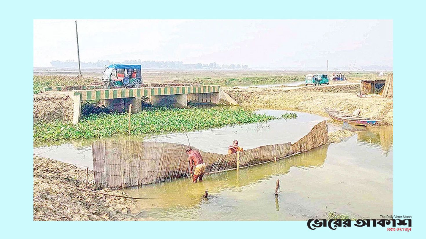 ধ্বংস হচ্ছে জীববৈচিত্র্য