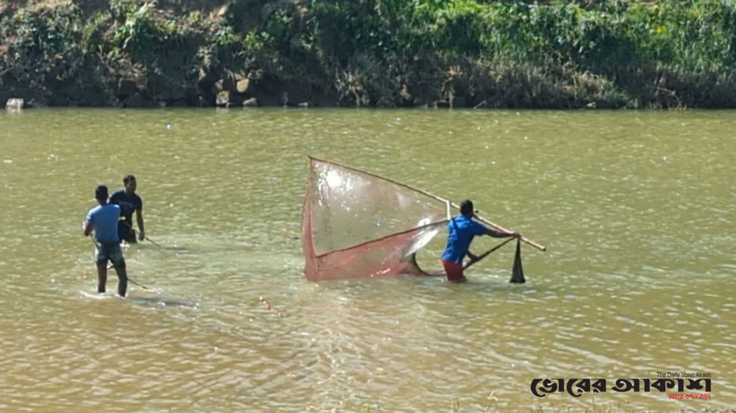 মৎস্য উৎপাদনের আঁতুড়ঘর ধ্বংসের মুখে