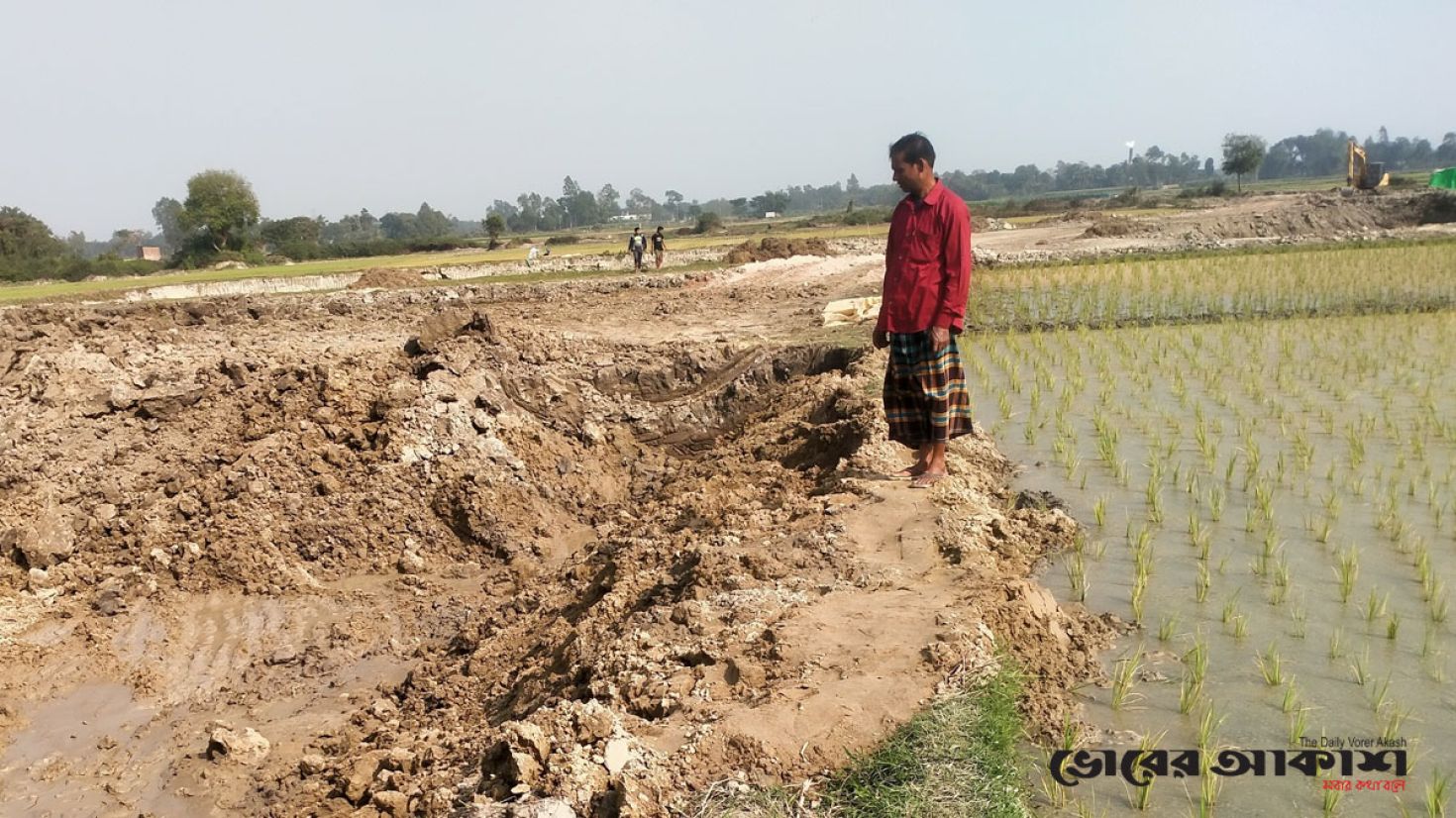 নিজের ধানী জমি রক্ষায় স্কুল শিক্ষকের আকুতি