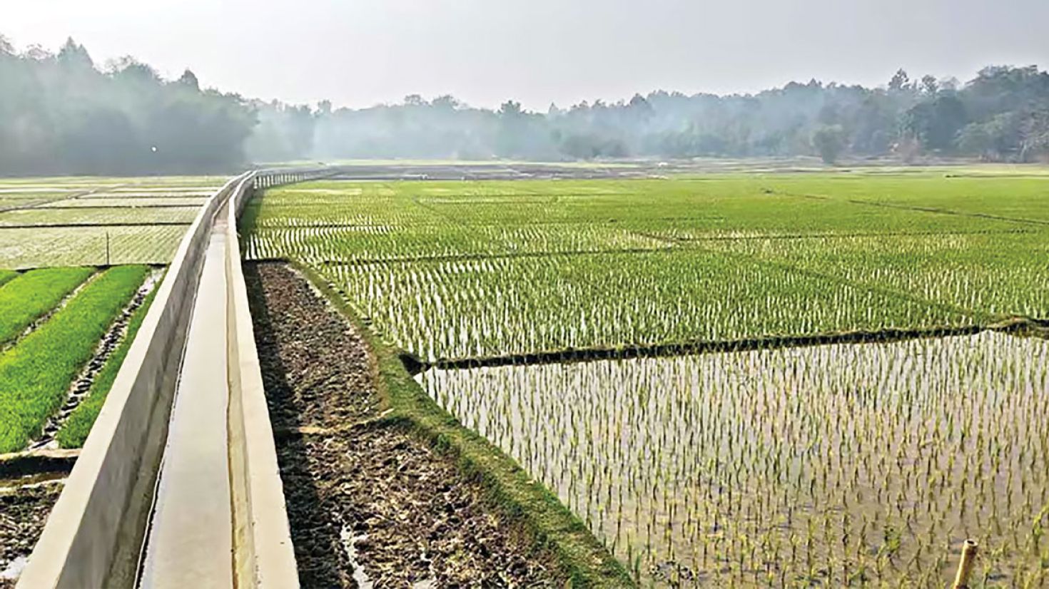 একটি সেচনালায় পাহাড়ের ১০০ একর জমি এখন তিন ফসলি