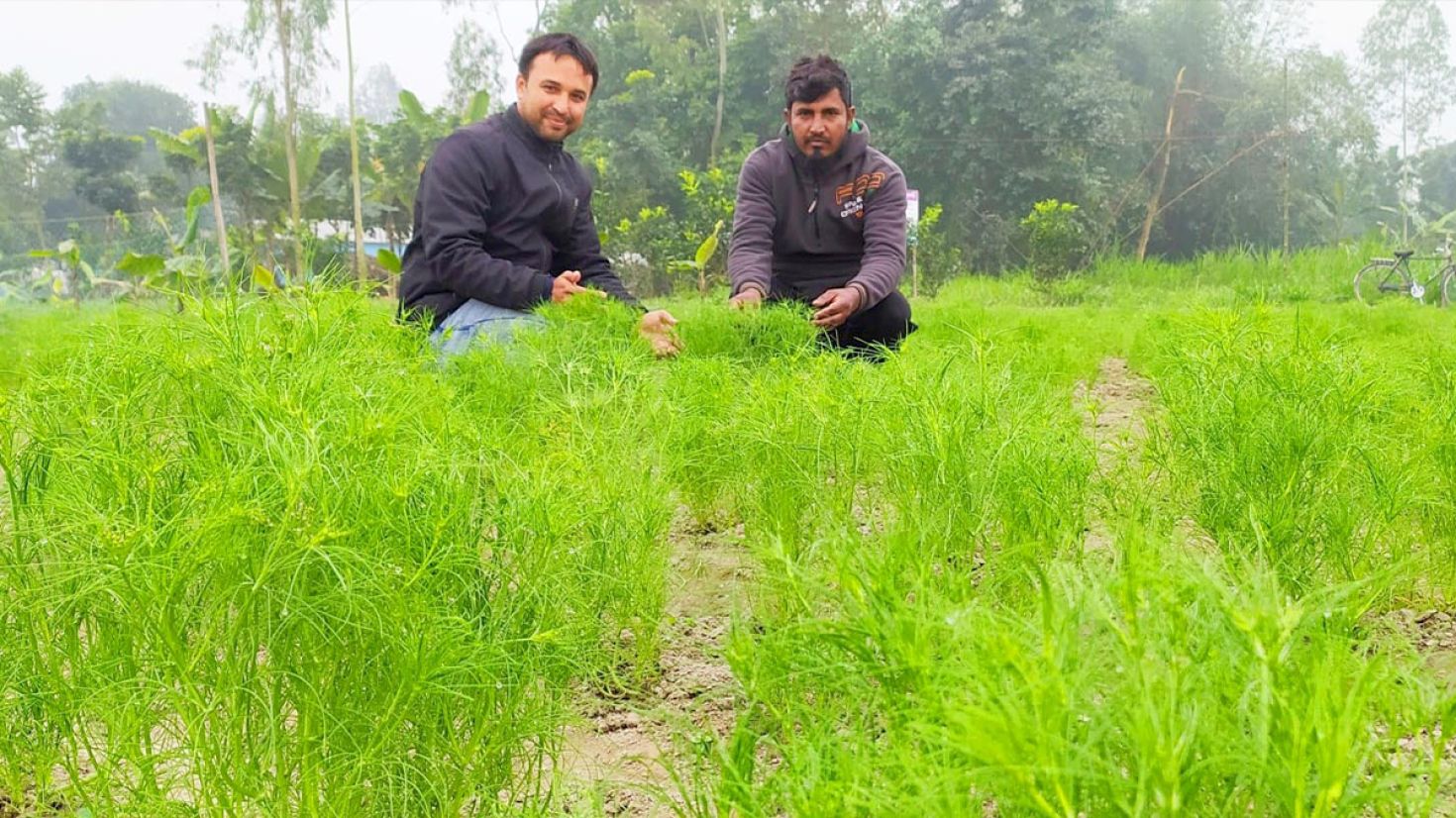 প্রথম পর্যায়ে জিরার চাষাবাদে সফল প্রান্তিক কৃষক