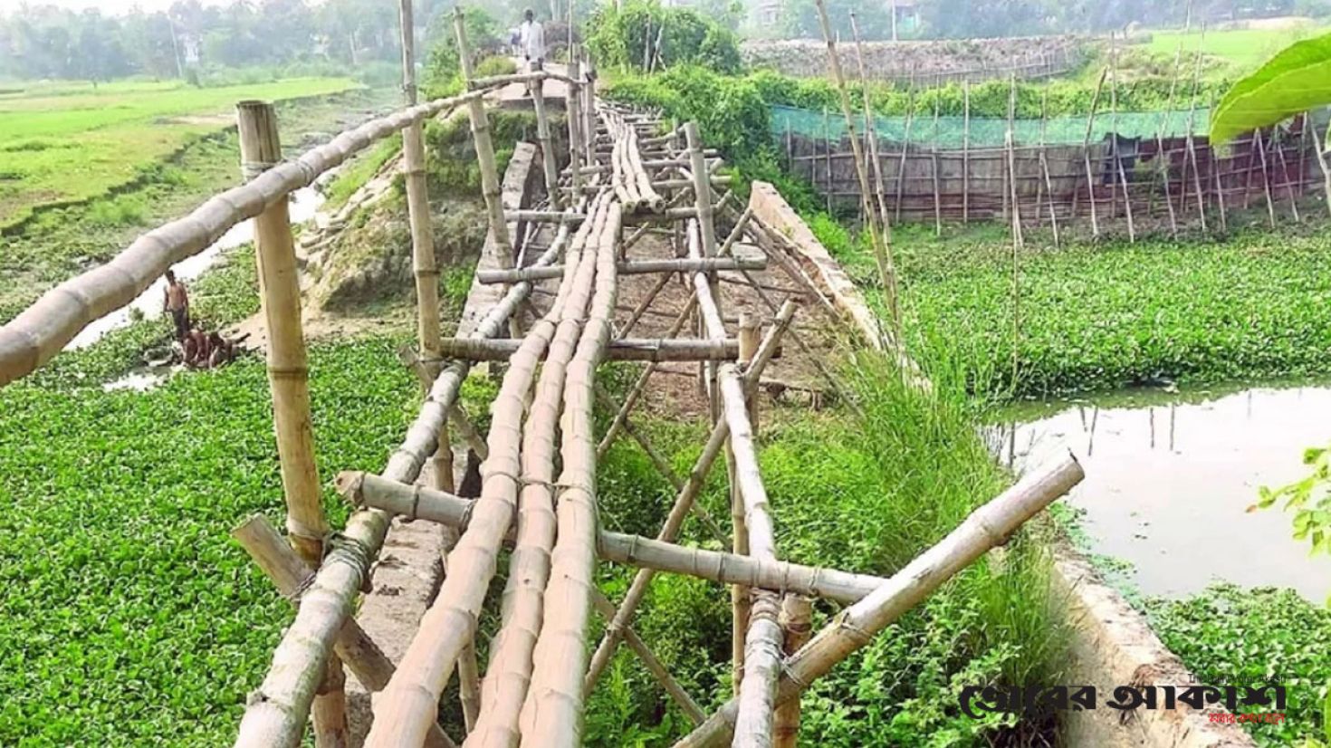 ভাঙা সেতুতে বাঁশের সাঁকো, দুর্ভোগে ২০ গ্রামবাসী