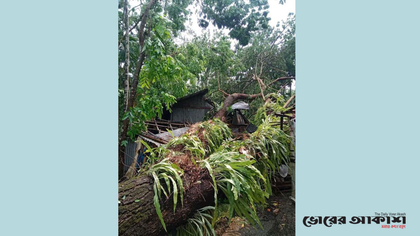 ঝালকাঠিতে বজ্রপাতে নিহত ৩