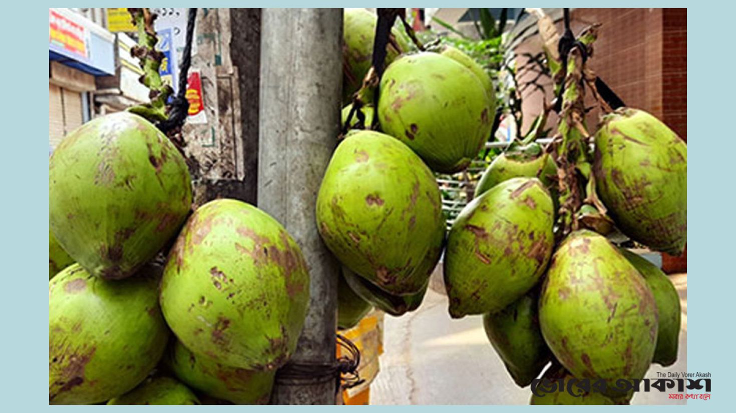 রাজশাহীতে একটি ডাবের দাম ১৮০ টাকা