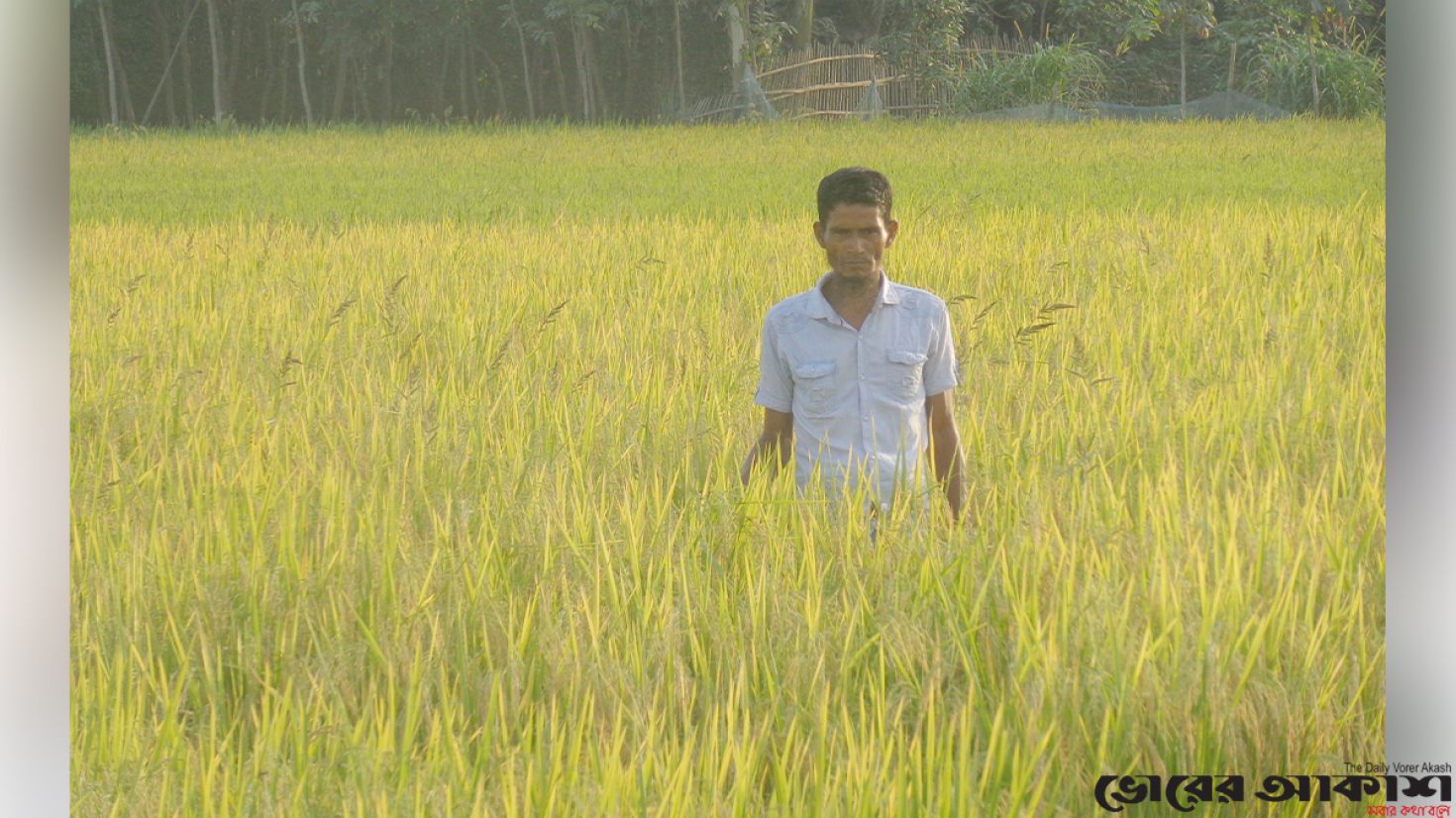 কৃষককে জমি থেকে ধান কেটে নেওয়ার হুমকি প্রদান