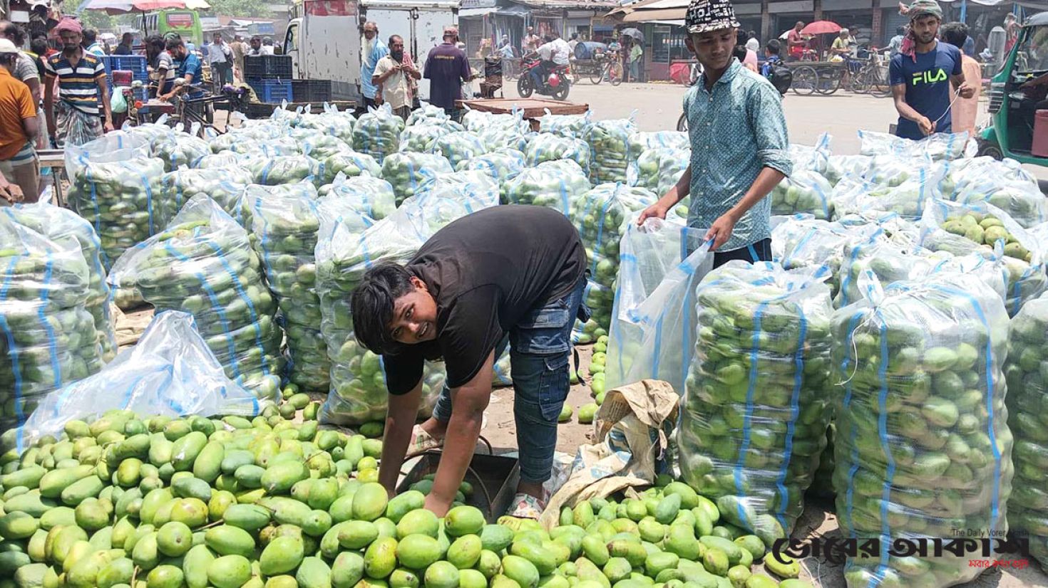 রাজশাহীতে আমের কেজি ৭ টাকা