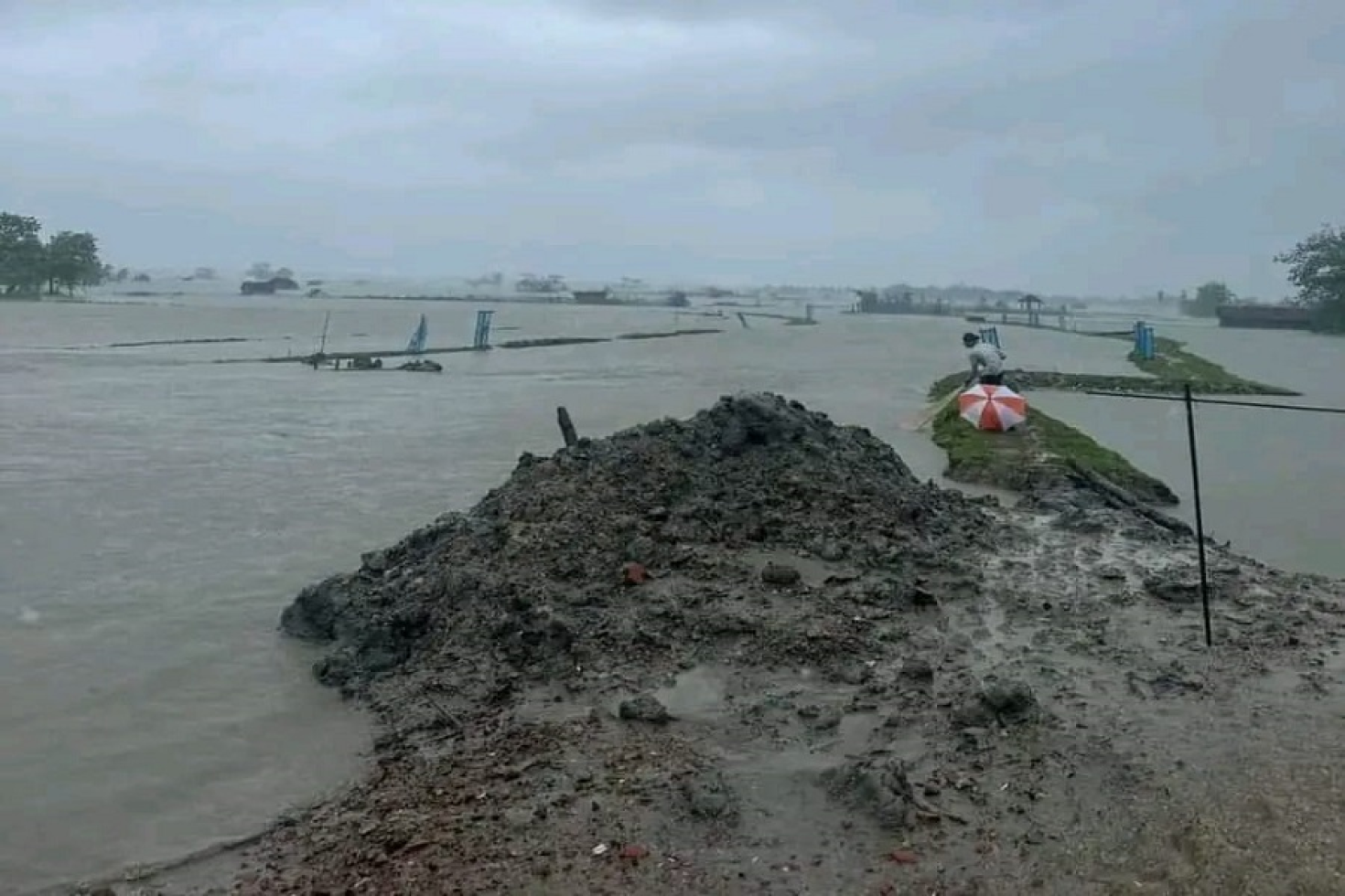 চিতলমারী রিমালের তান্ডবে ১ কোটি ৪০ লক্ষ টাকার ক্ষয়ক্ষতি মৎস্য চাষীদের