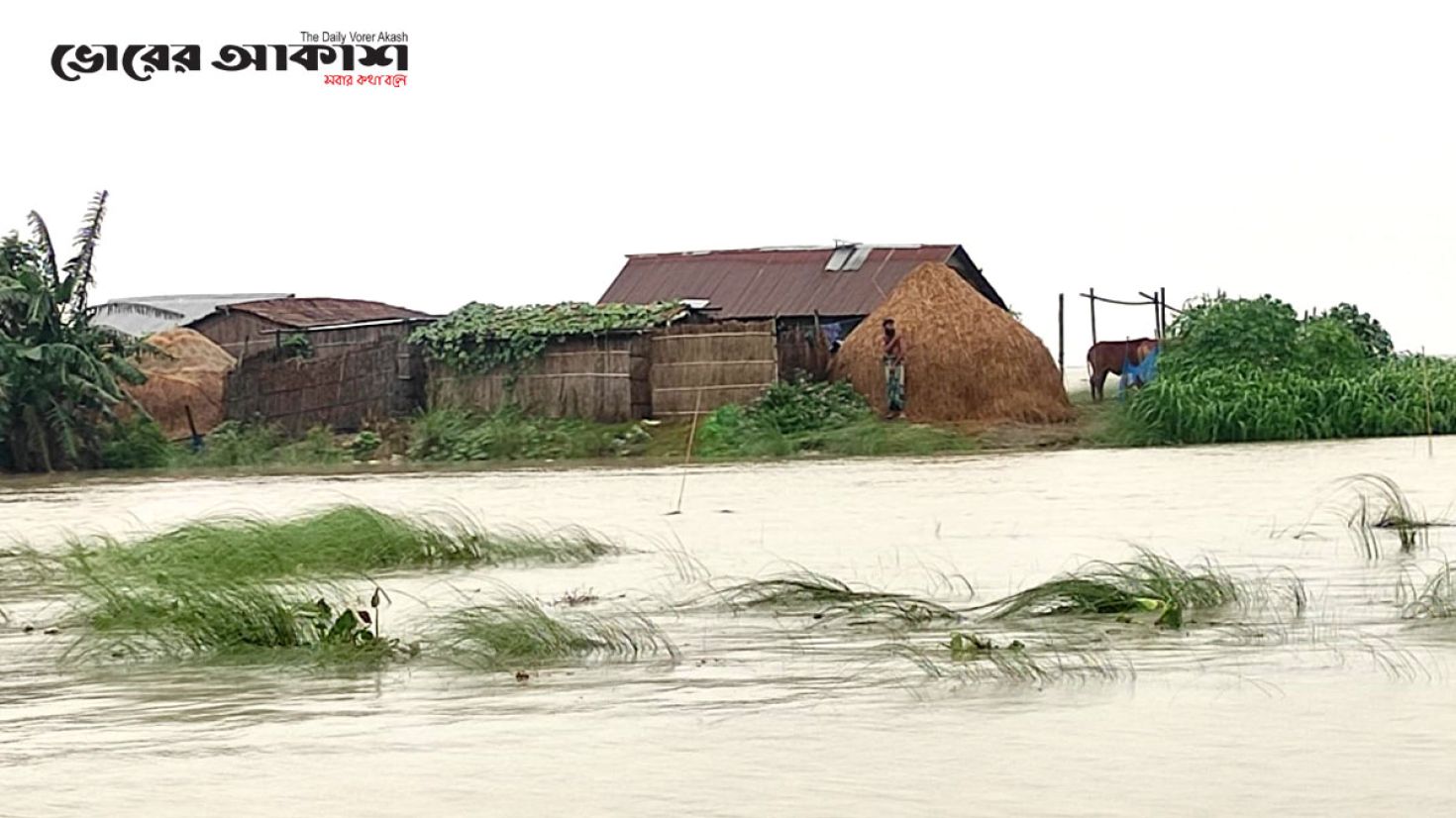 গাইবান্ধায় ব্রহ্মপুত্র নদের পানি এখনো বিপৎসীমার ওপরে