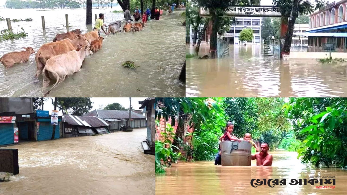 ভয়াবহ বন্যার কবলে ফেনীর তিন উপজেলা