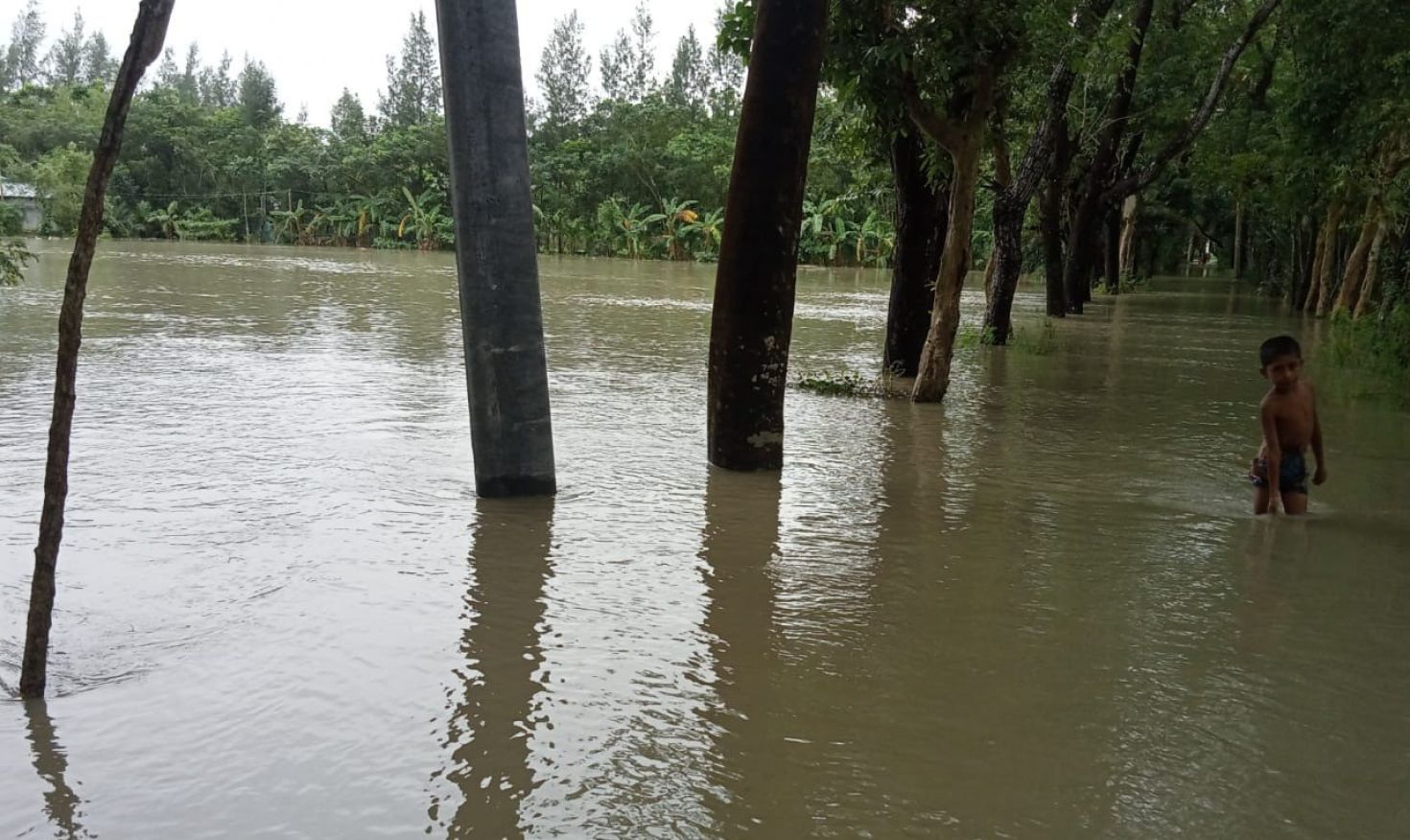 মনপুরায় বেড়িবাঁধ ভেঙে ১০ গ্রামের মানুষ পানিবন্দি