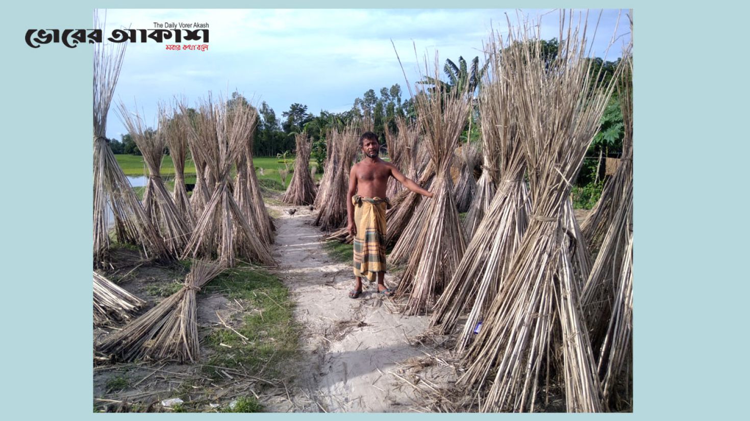 গাইবান্ধায় কদর বেড়েছে পাটকাঠির