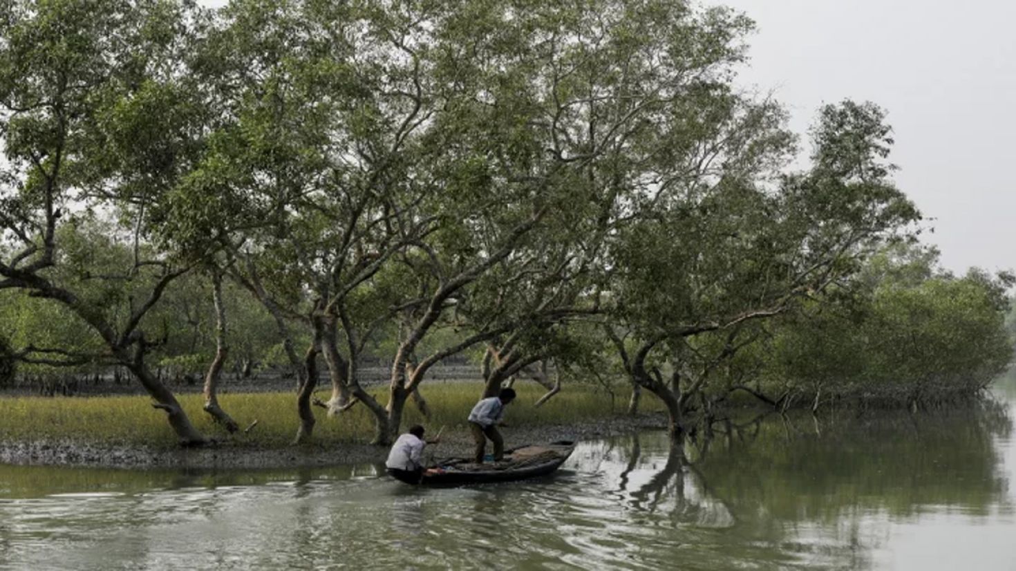 ভারতে পালানোর সময় ১১ বাংলাদেশিকে রেখে পালিয়েছে দালাল