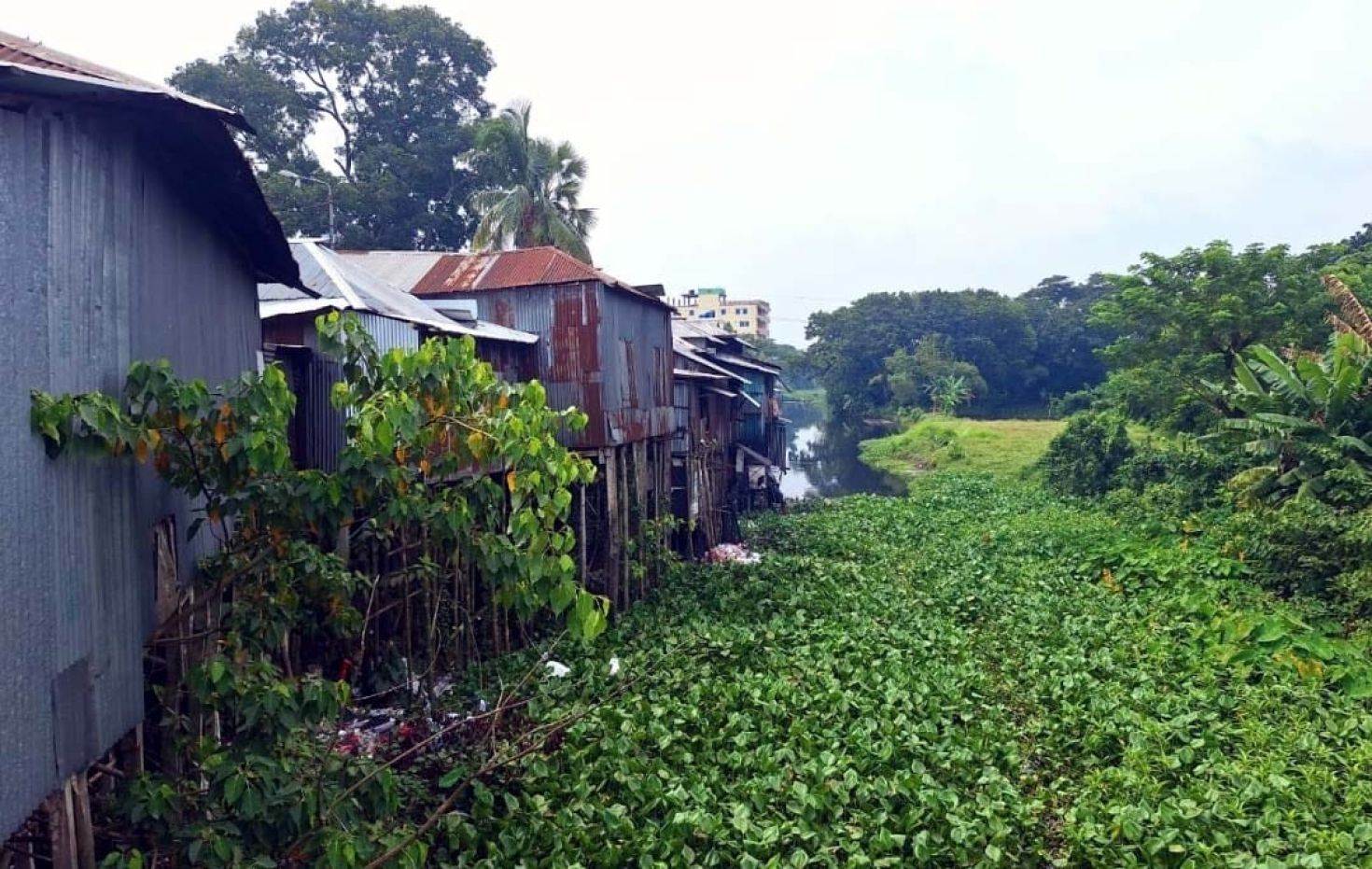 সরকারি জায়গা দখল করে ব্যবসা প্রতিষ্ঠান ও ভবন নির্মাণের হিড়িক