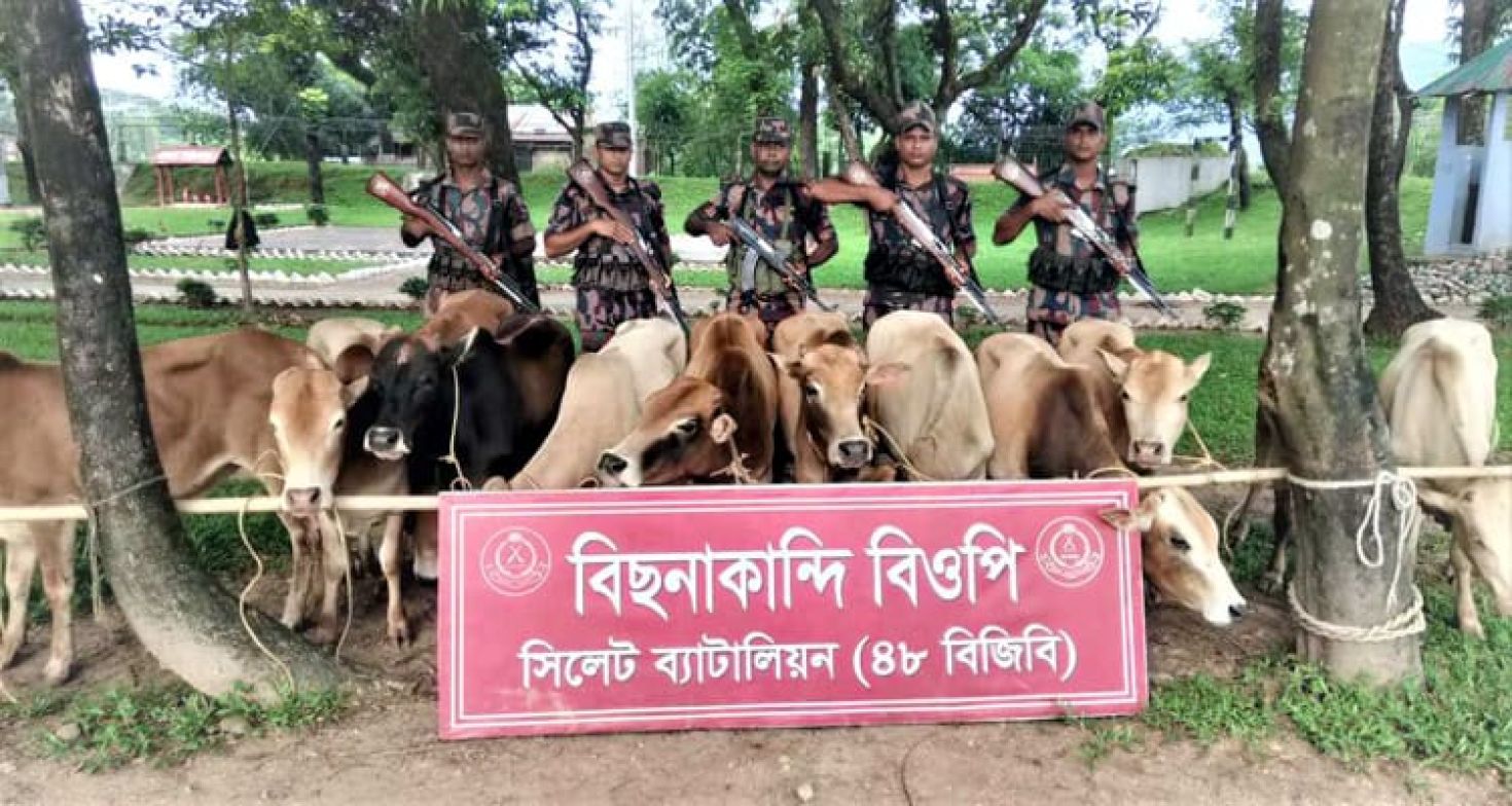 সিলেট সীমান্তে প্রায় দেড় কোটি টাকার ভারতীয় পণ্য জব্দ