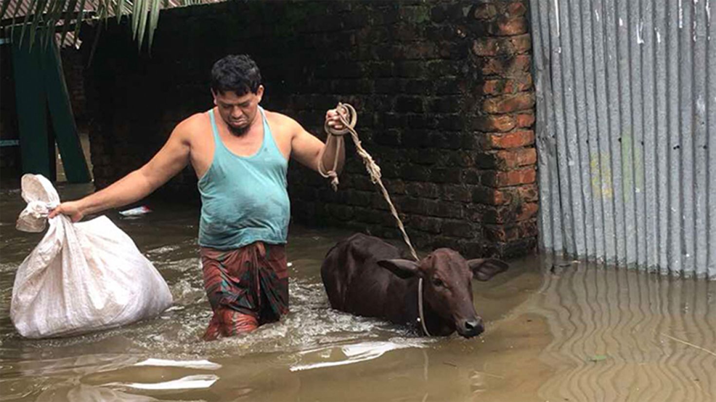 প্রাণিসম্পদের ক্ষতি
৪৮৯ কোটি টাকা