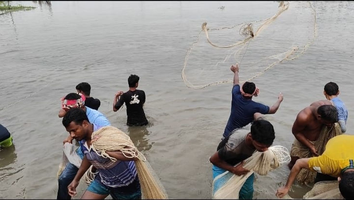 ঠাকুরগাঁওয়ে মাছ ধরার উৎসব