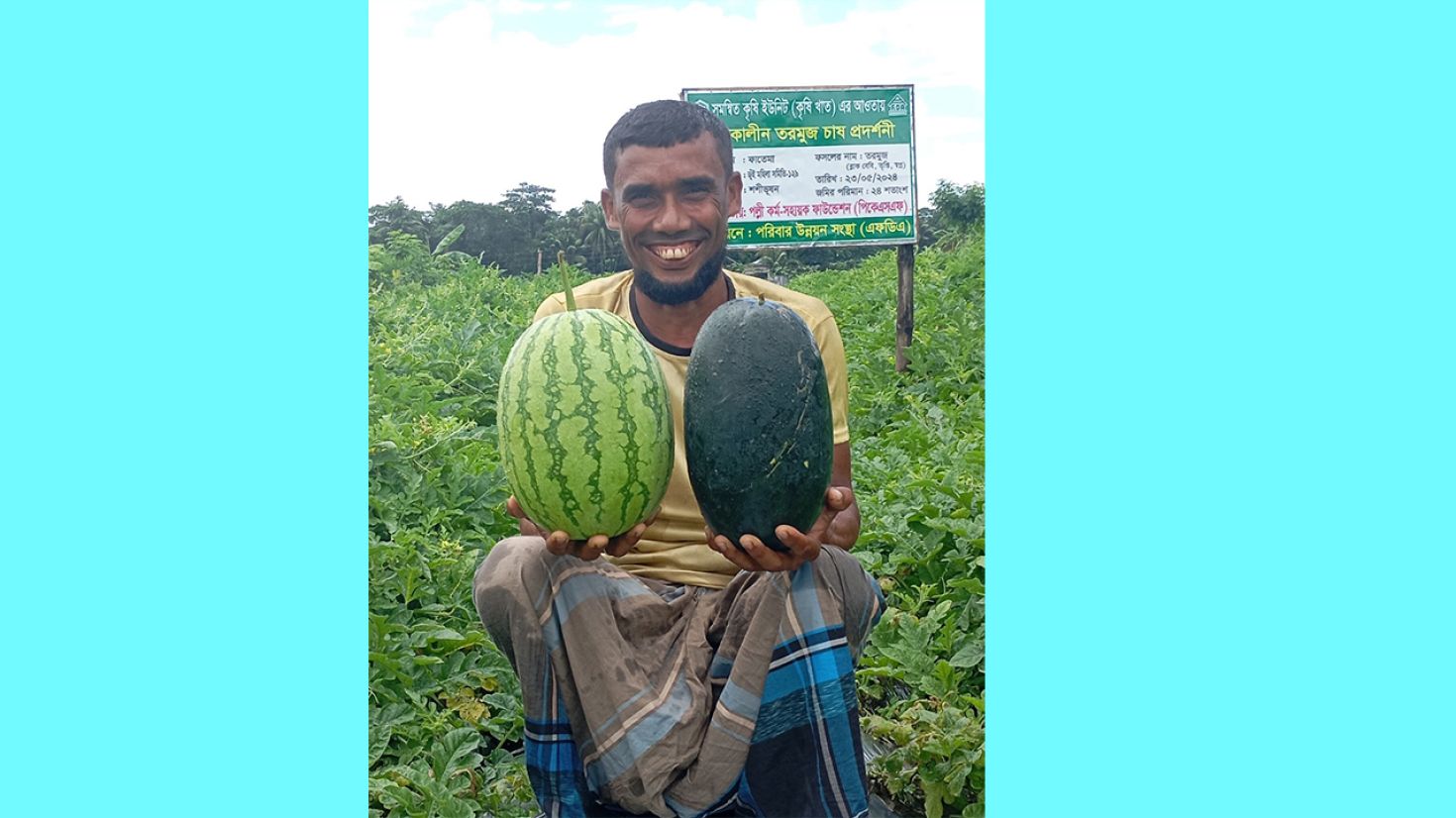 ব্ল্যাক বেবি তরমুজ চাষে কৃষক আমিরের সাফল্য