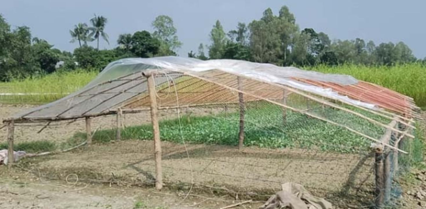 মানিকগঞ্জে সবজির বীজতলা তৈরিতে ব্যস্ত কৃষক
