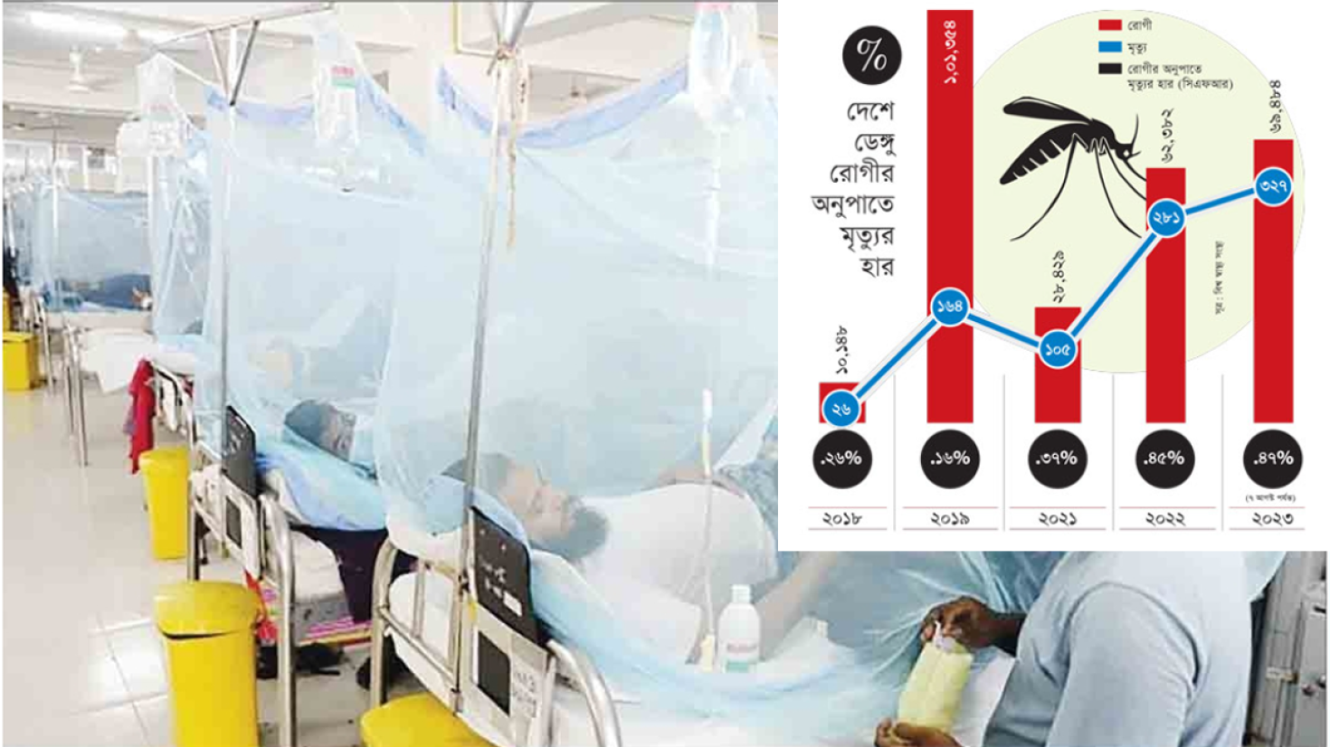 ডেঙ্গুতে মৃত্যুহারে শীর্ষে বাংলাদেশ