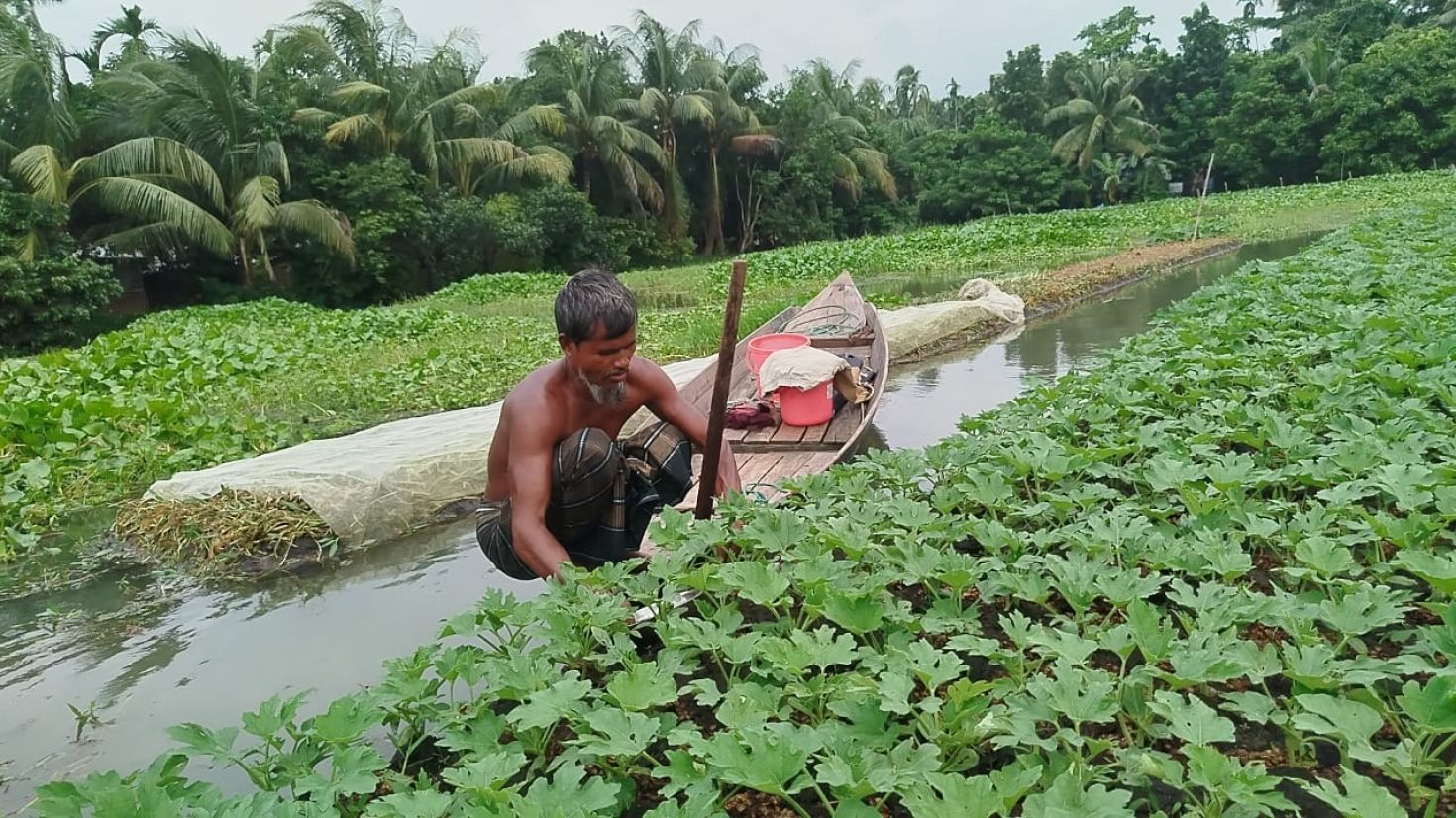 না‌জিরপু‌রে ভাসমান বেডে চারা চাষে সফল‌তা