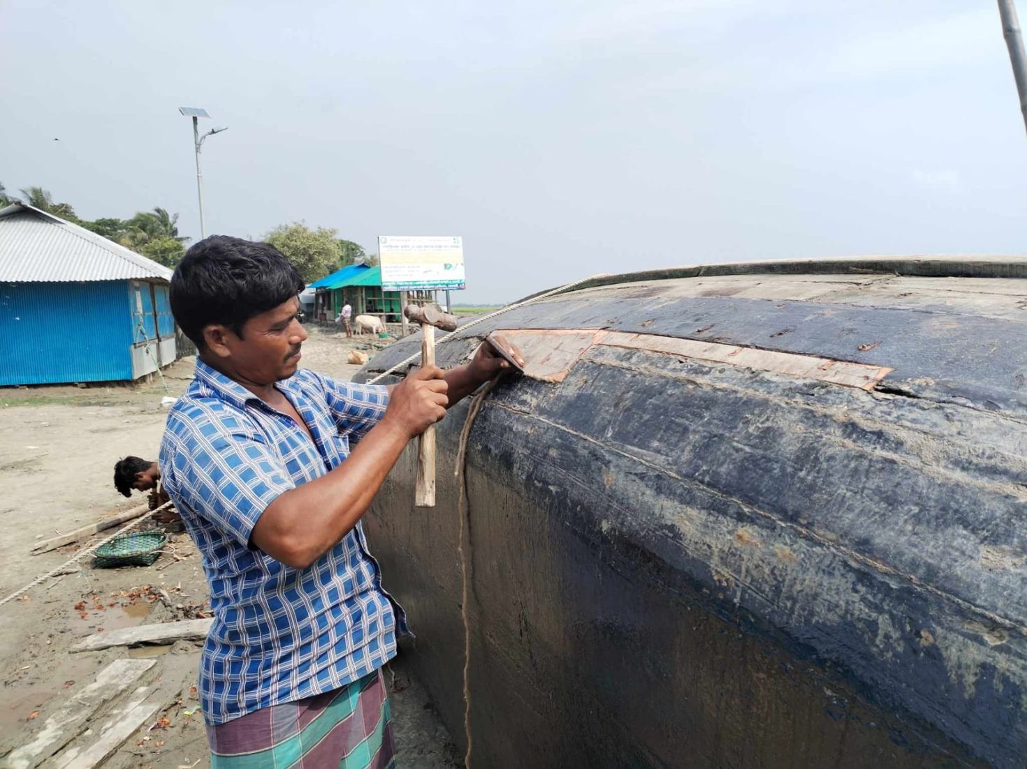 চলছে ইলিশের নিষেধাজ্ঞা তবুও ব্যস্ত সোনাগাজীর জেলেরা