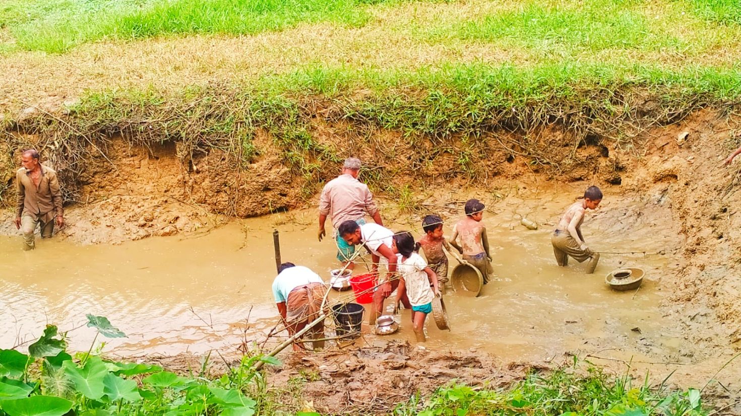 বিলুপ্তির পথে গ্রাম-বাংলার মাছ ধরার দৃশ্য!