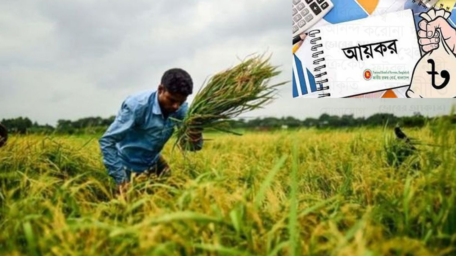 কৃষিখাদ্যে বাংলাদেশের গচ্চা সোয়া ১৪ লাখ কোটি টাকা