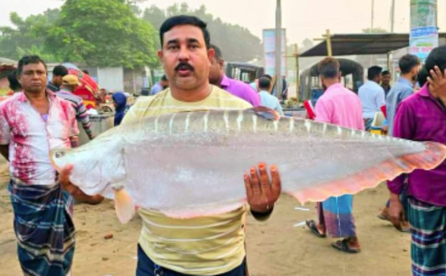 পদ্মার এক চিতল ২২ হাজার টাকায় বিক্রি