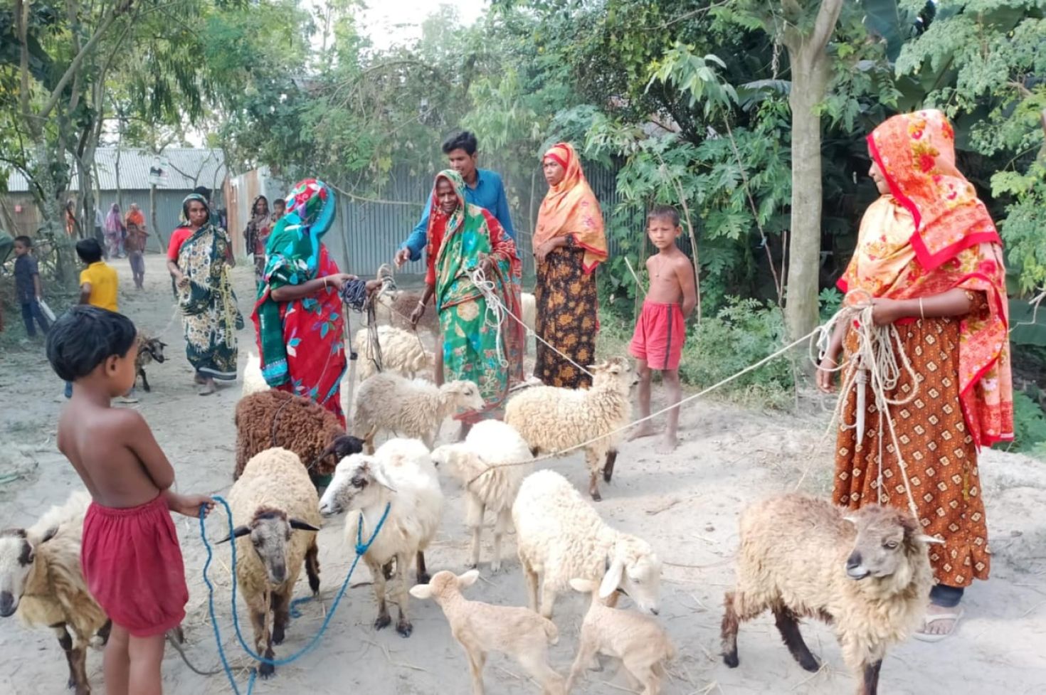 ফ্রেন্ডশিপের চরাঞ্চলের সুবিধাভোগীদের মাঝে উন্নতজাতের ভেড়া প্রদান