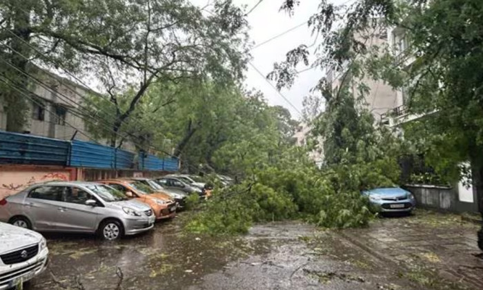 দিল্লিতে প্রবল বৃষ্টিপাতে নিহত ৪, রেড অ্যালার্ট জারি দিল্লিতে প্রবল বৃষ্টিপাতে নিহত ৪, রেড অ্যালার্ট জারি