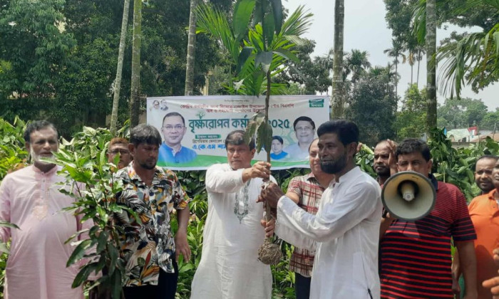 নান্দাইলে বিএনপি নেতা বিভিন্ন জাতের ২০ হাজার গাছের চারা বিতরণ