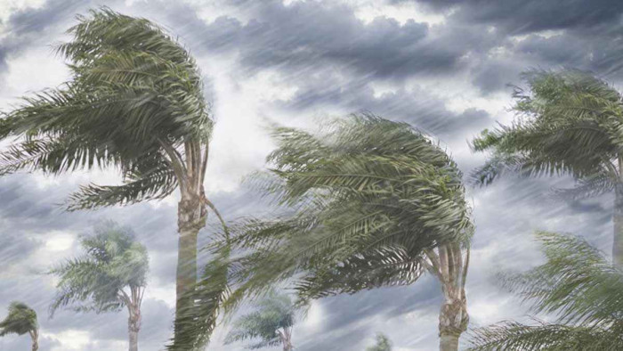 দুপুরের মধ্যে ৭ অঞ্চলে ৬০ কিমি বেগে ঝড়ের আভাস